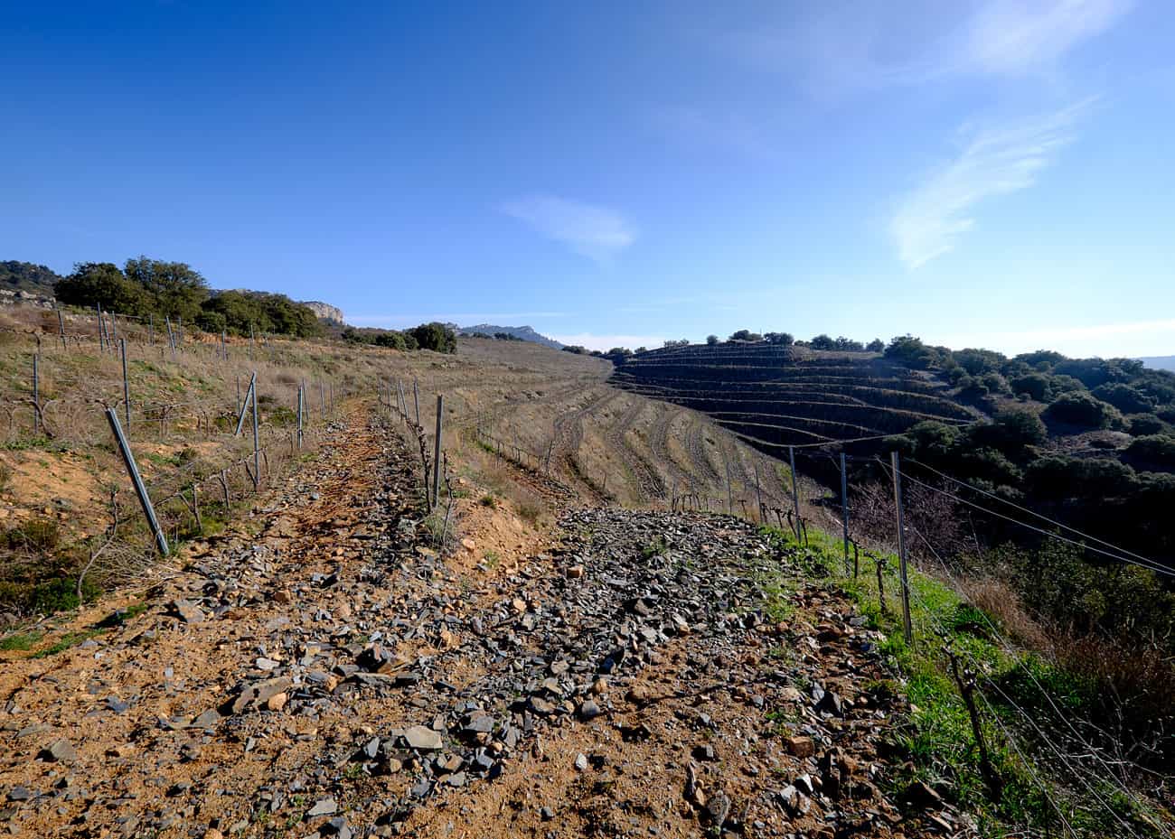 Featured image for “Winnica Priorat”